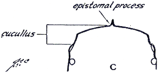 fig8c.gif